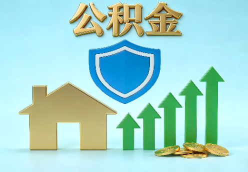 辽宁当前住房公积金提取条件分类指南与政策趋势