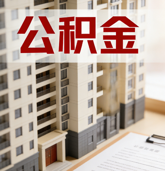 辽宁公积金代办行业新生态：从“跑腿中介”到“生活管家”的进化之路